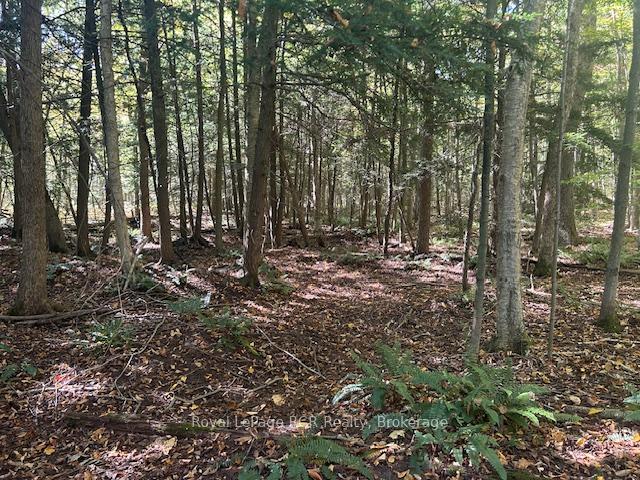 Photo 17 of 237069 2A Concession, Chatsworth — HOMEH