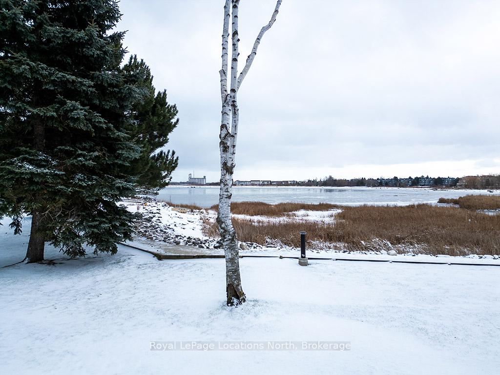 Photo 18 of Unit 115, 8 Rambling Way N, Collingwood — HOMEH