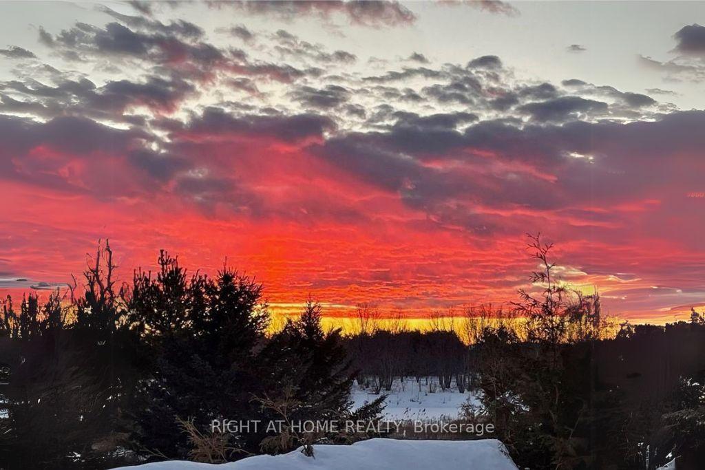 Photo 39 of 338 Hillsboro, Ottawa, Kanata - Emerald Meadows/Trailwest — HOMEH
