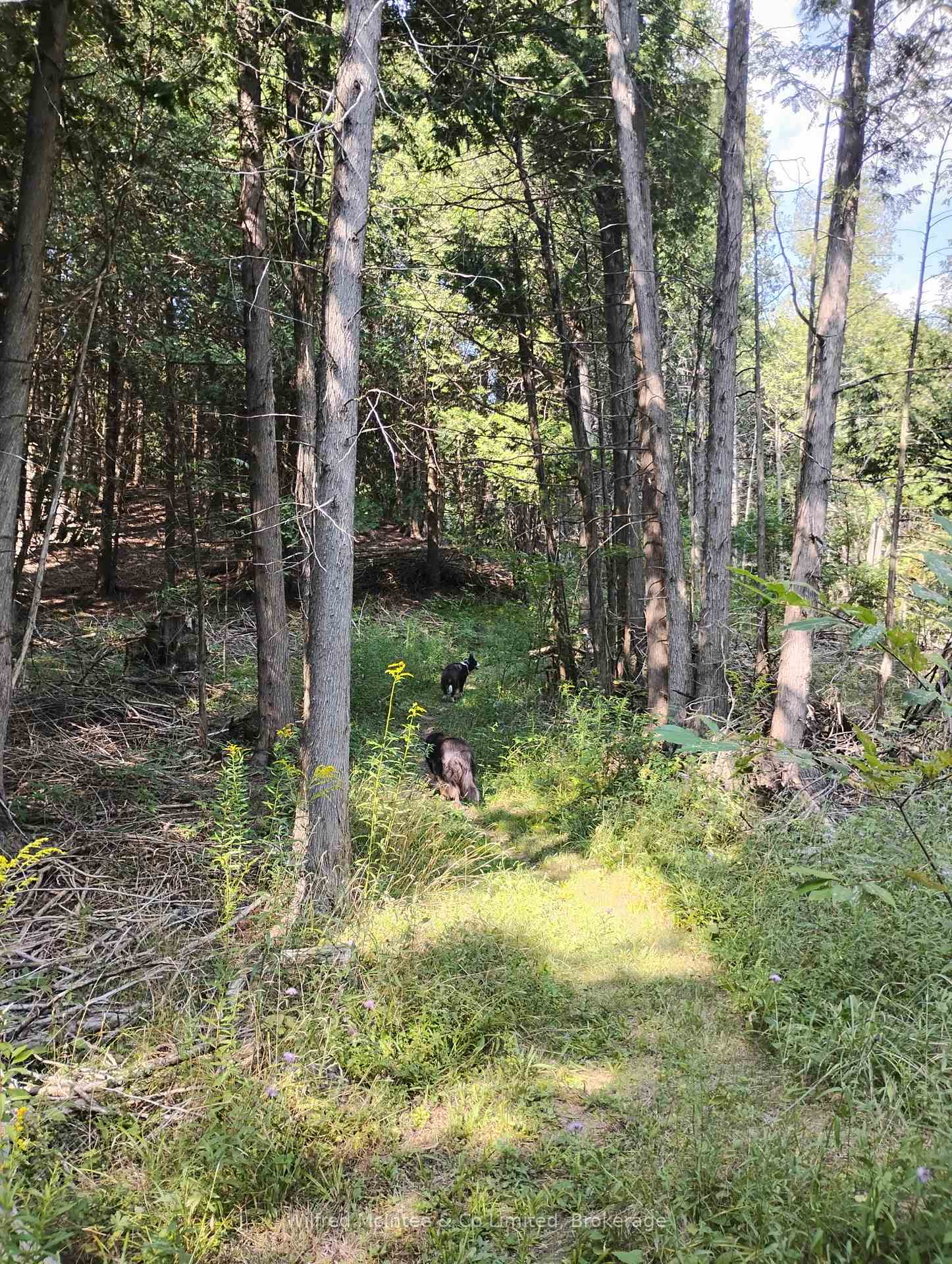 Photo 20 of 620026 Robson Road, Chatsworth — HOMEH