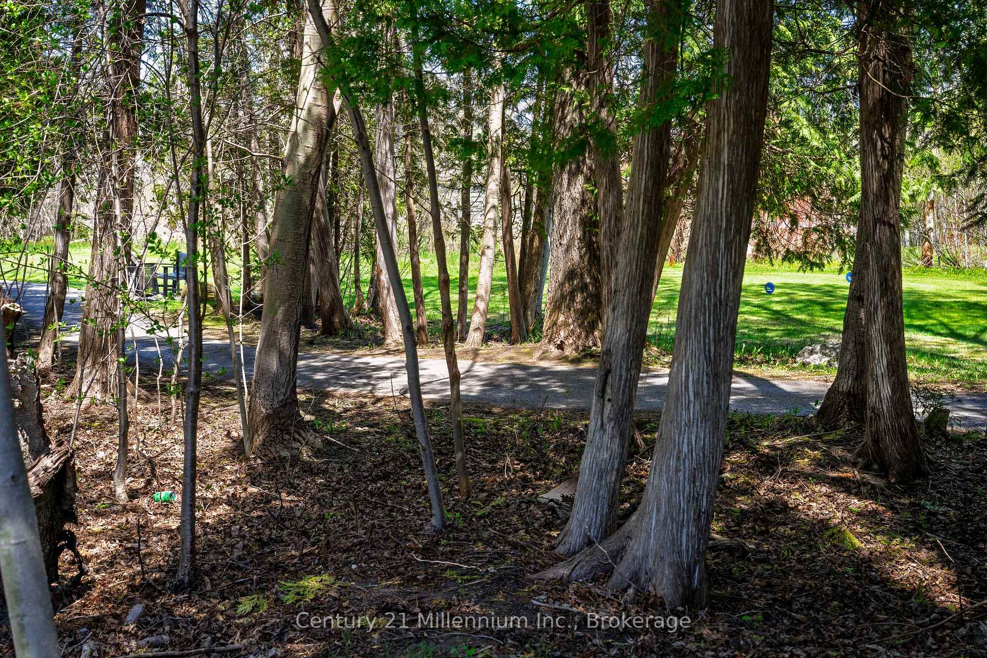 Photo 55 of 1 Westwind Drive, Collingwood — HOMEH