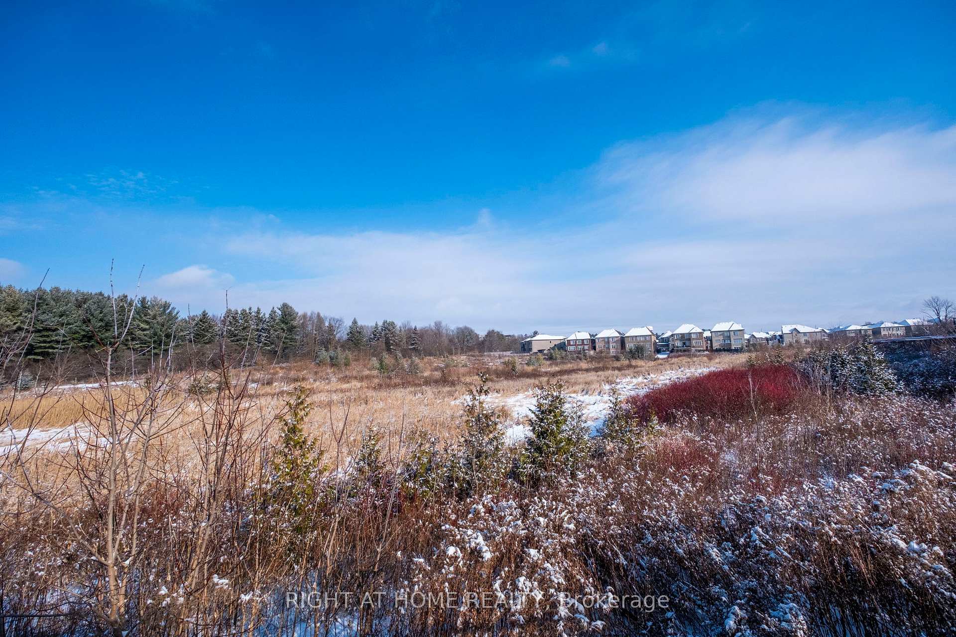 Photo 39 of 10 Stubbs Lane, Aurora, Rural Aurora — HOMEH