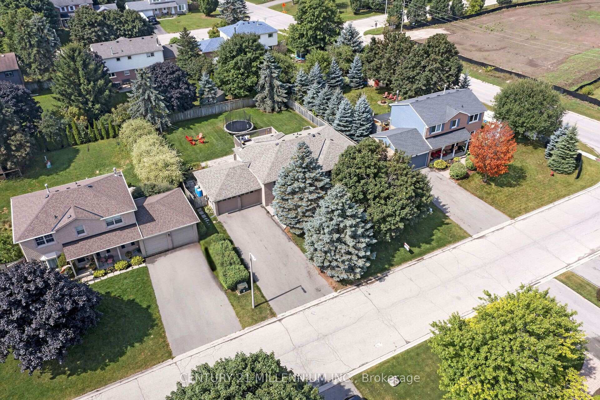 Photo 4 of 38 Erinlea Crescent, Erin — HOMEH