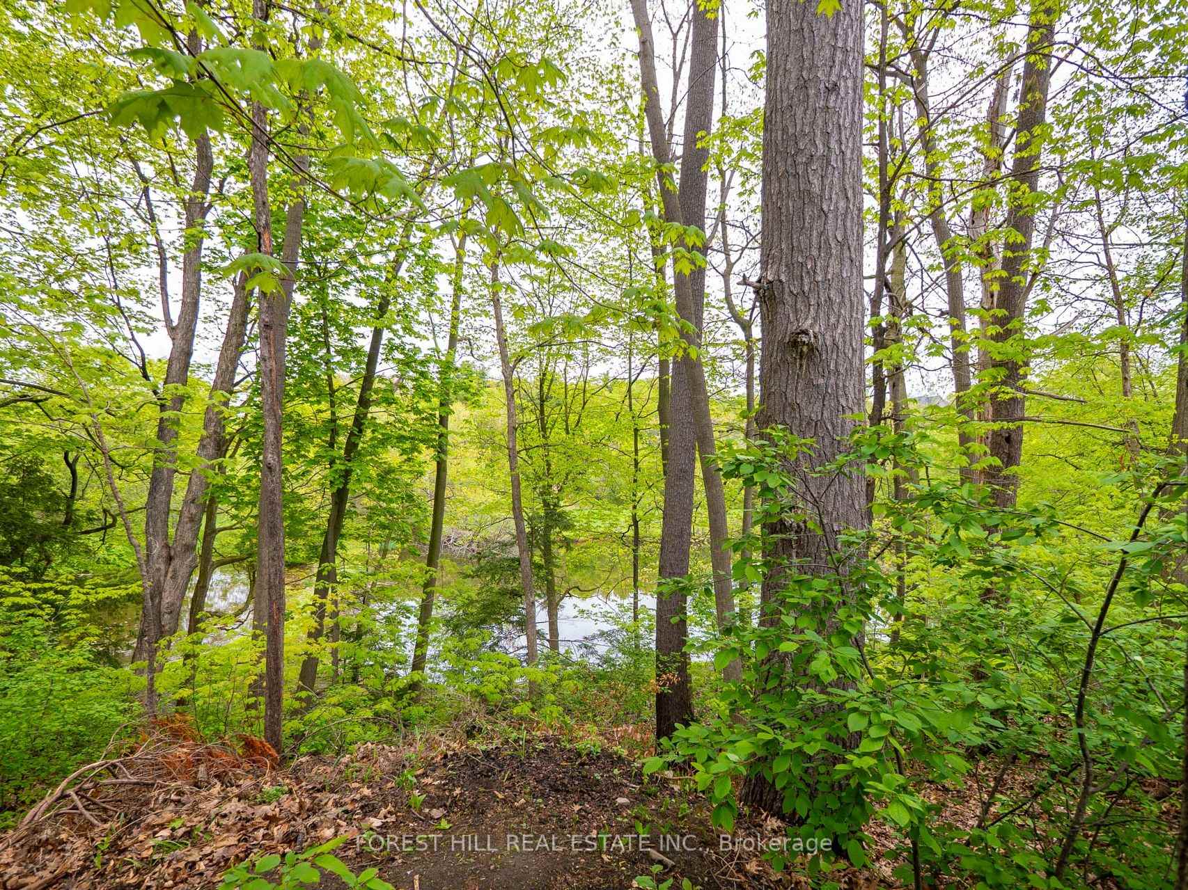 Photo 26 of 47 Lynden Circle, Halton Hills, Georgetown — HOMEH