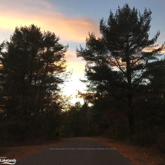 Photo 27 of 1005 Road 3300, Gravenhurst, Muskoka (S) — HOMEH