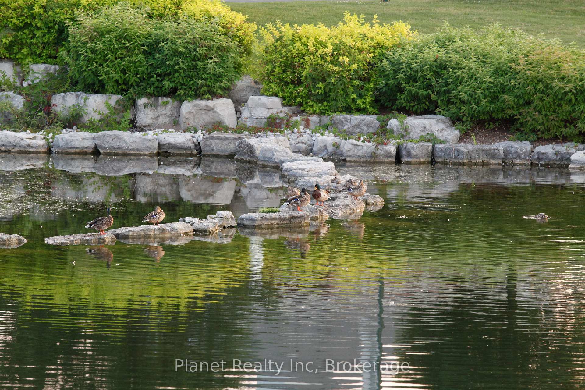 Photo 39 of 19 Arbordale Walk, Guelph, Village By The Arboretum — HOMEH