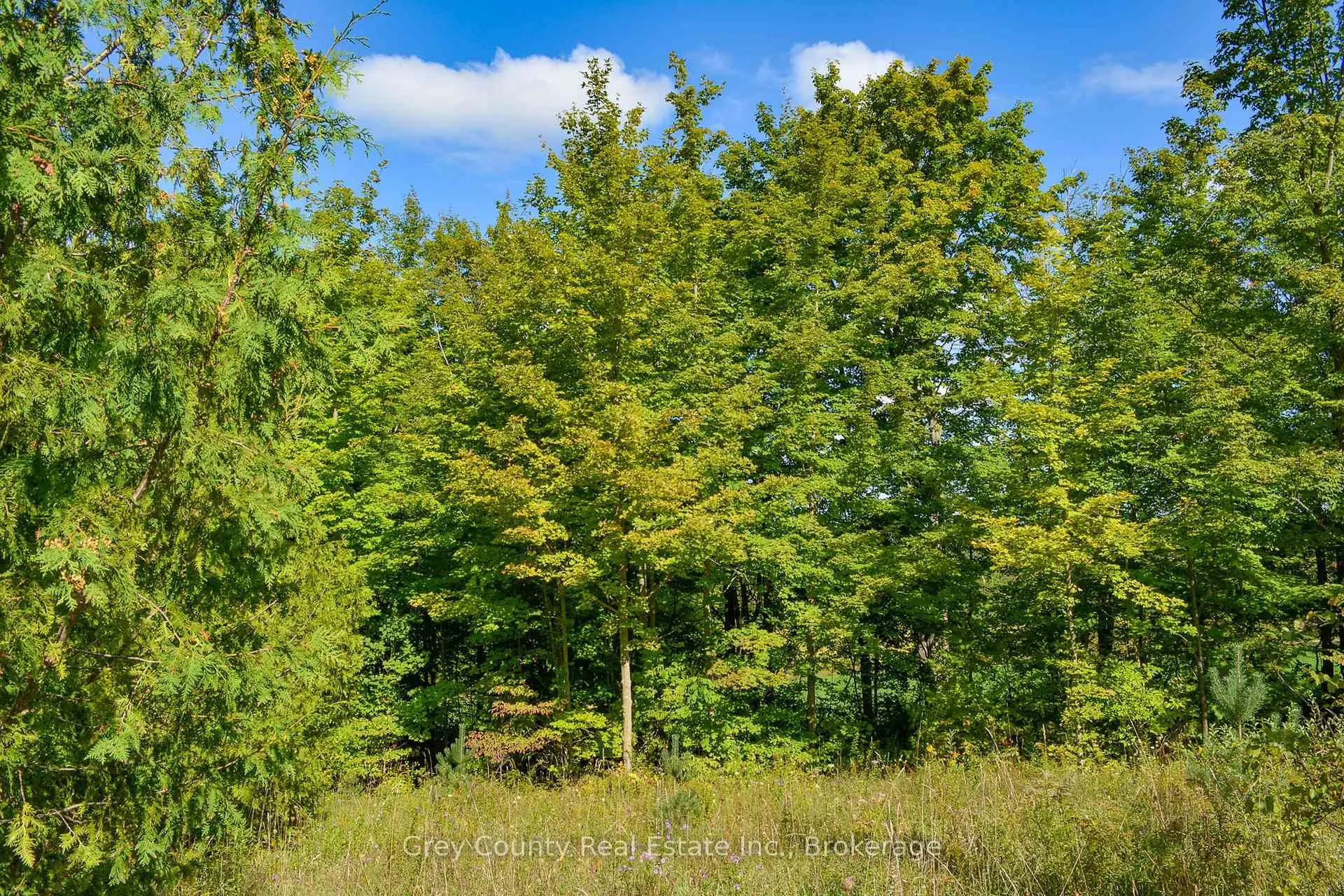 Photo 3 of 396436 Concession 2, Chatsworth — HOMEH