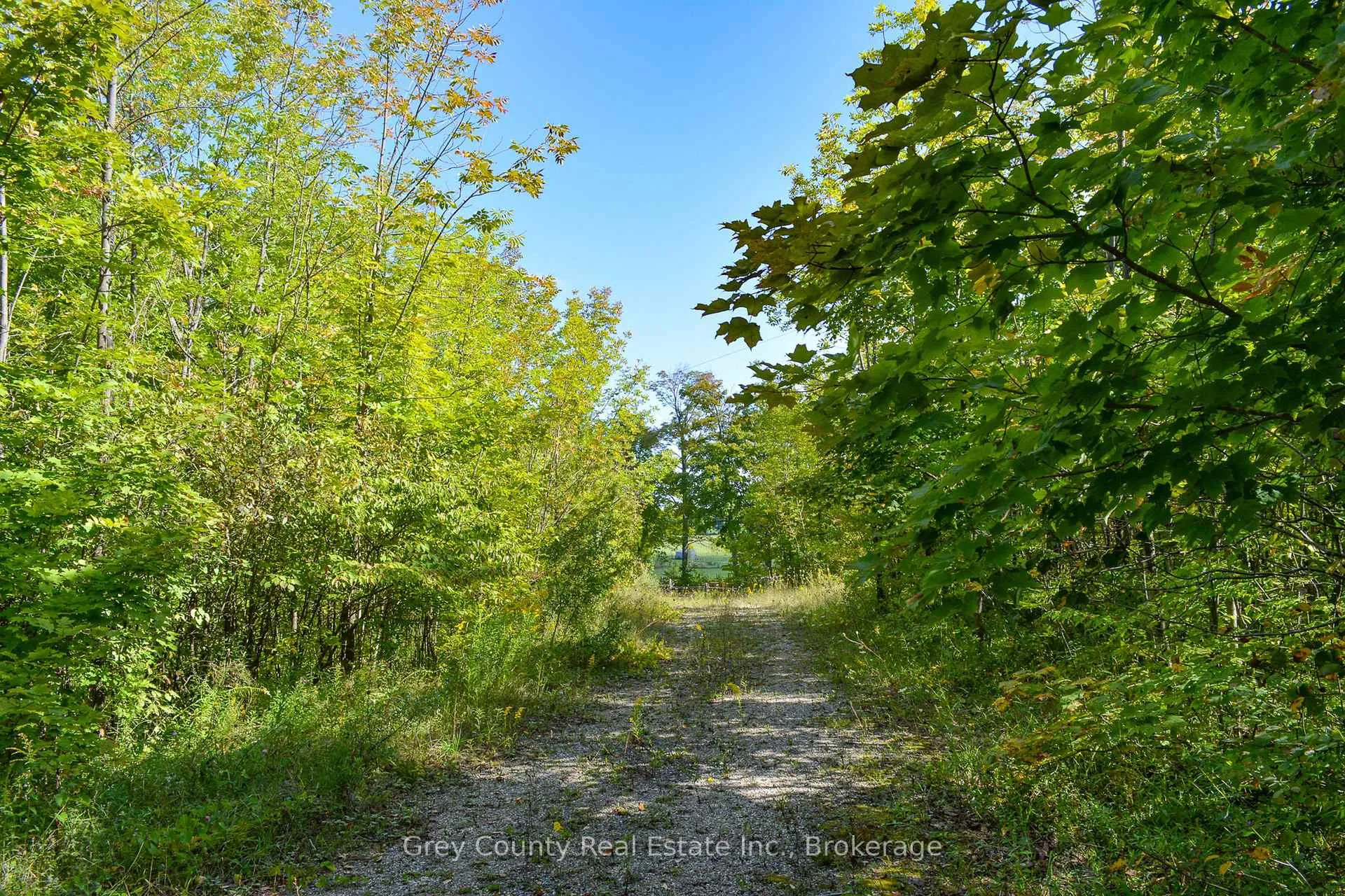 Photo 12 of 396436 Concession 2, Chatsworth — HOMEH