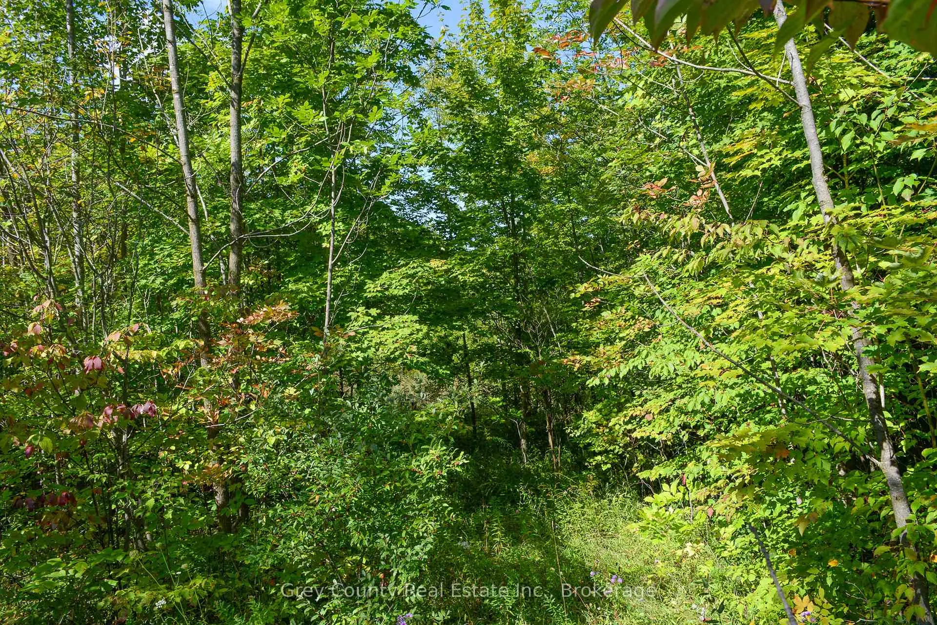 Photo 13 of 396436 Concession 2, Chatsworth — HOMEH