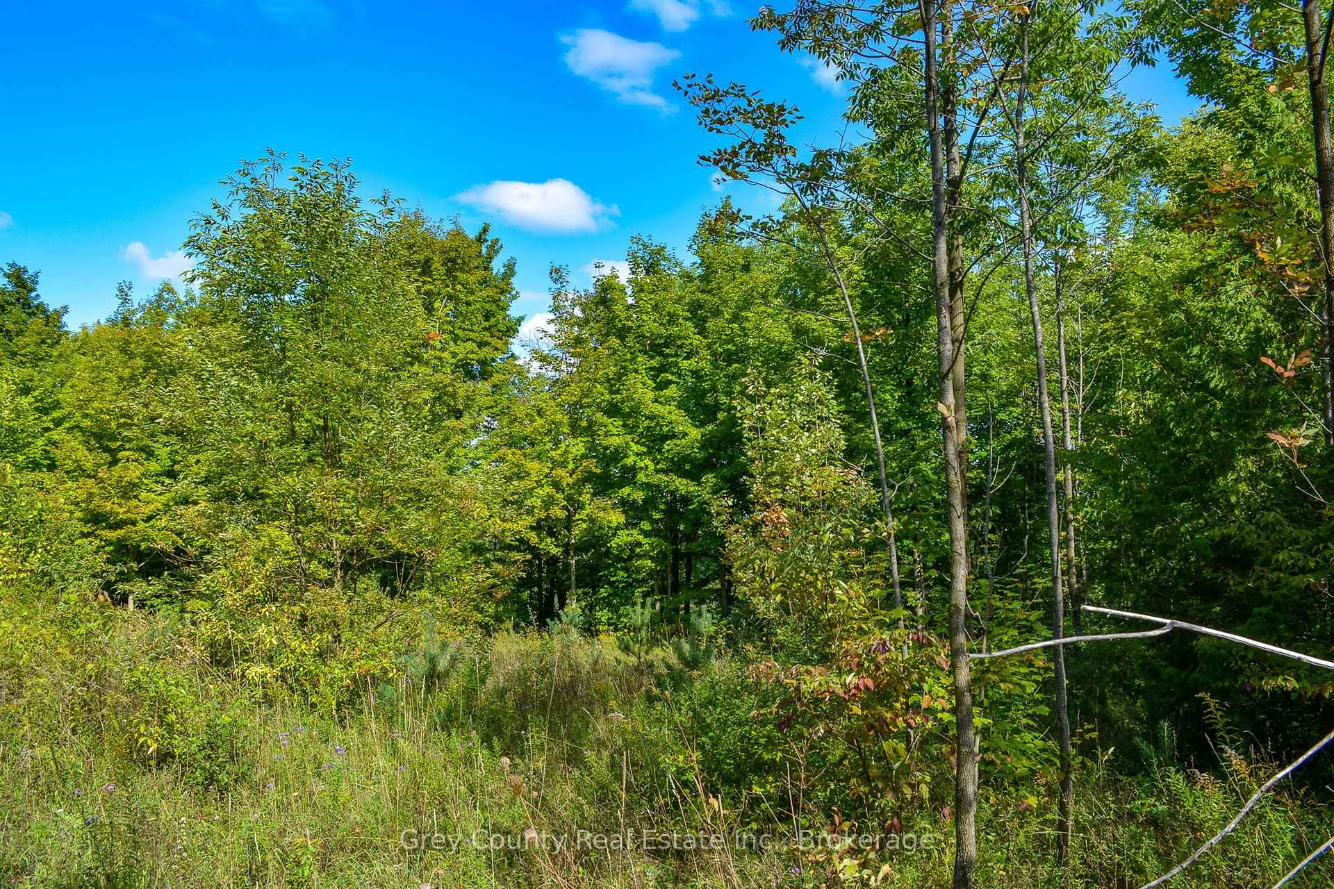 Photo 14 of 396436 Concession 2, Chatsworth — HOMEH