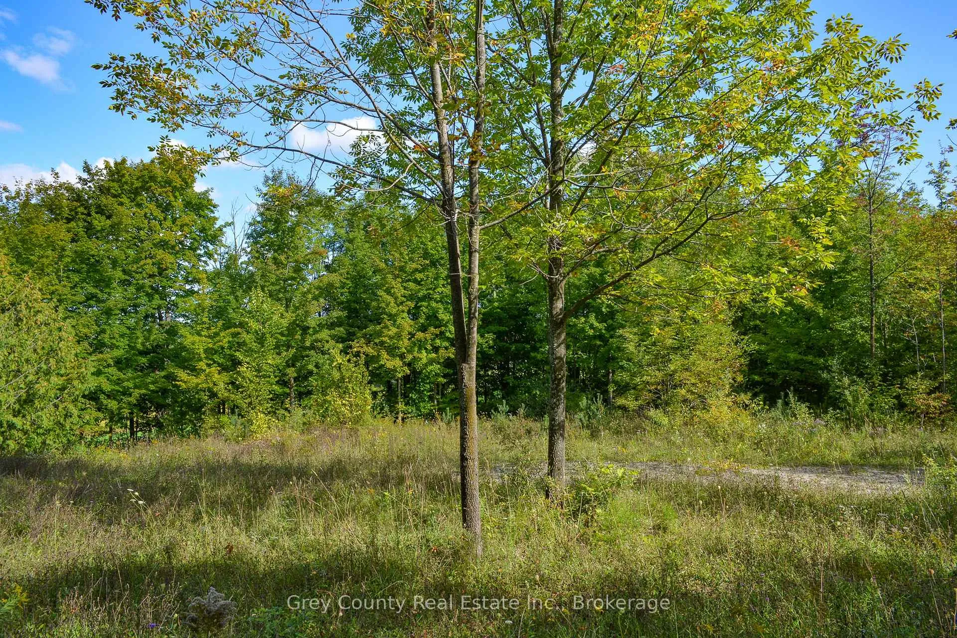 Photo 15 of 396436 Concession 2, Chatsworth — HOMEH