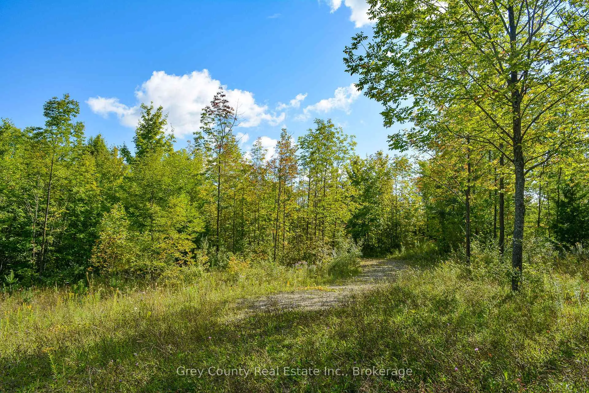 Photo 16 of 396436 Concession 2, Chatsworth — HOMEH