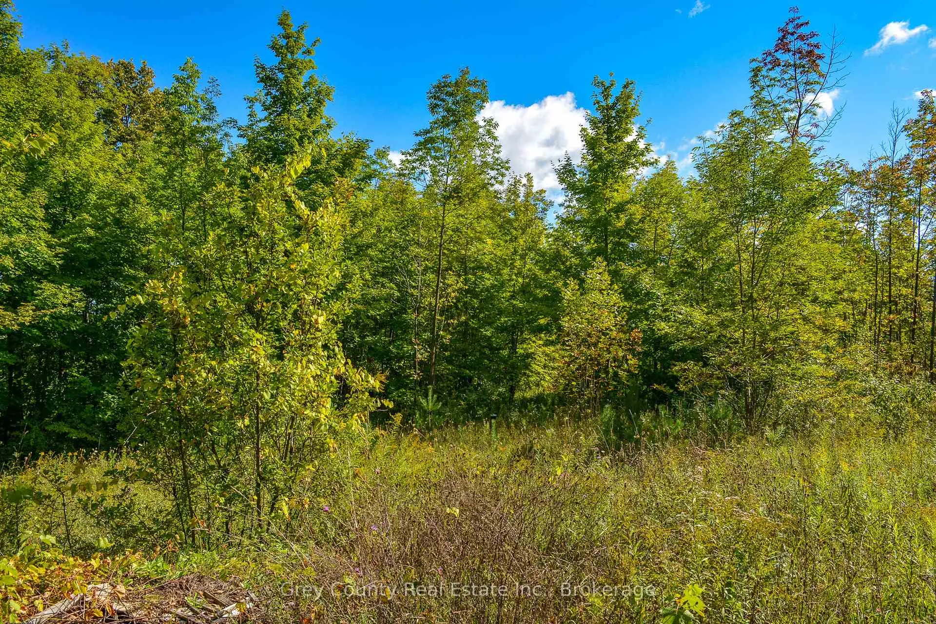 Photo 17 of 396436 Concession 2, Chatsworth — HOMEH