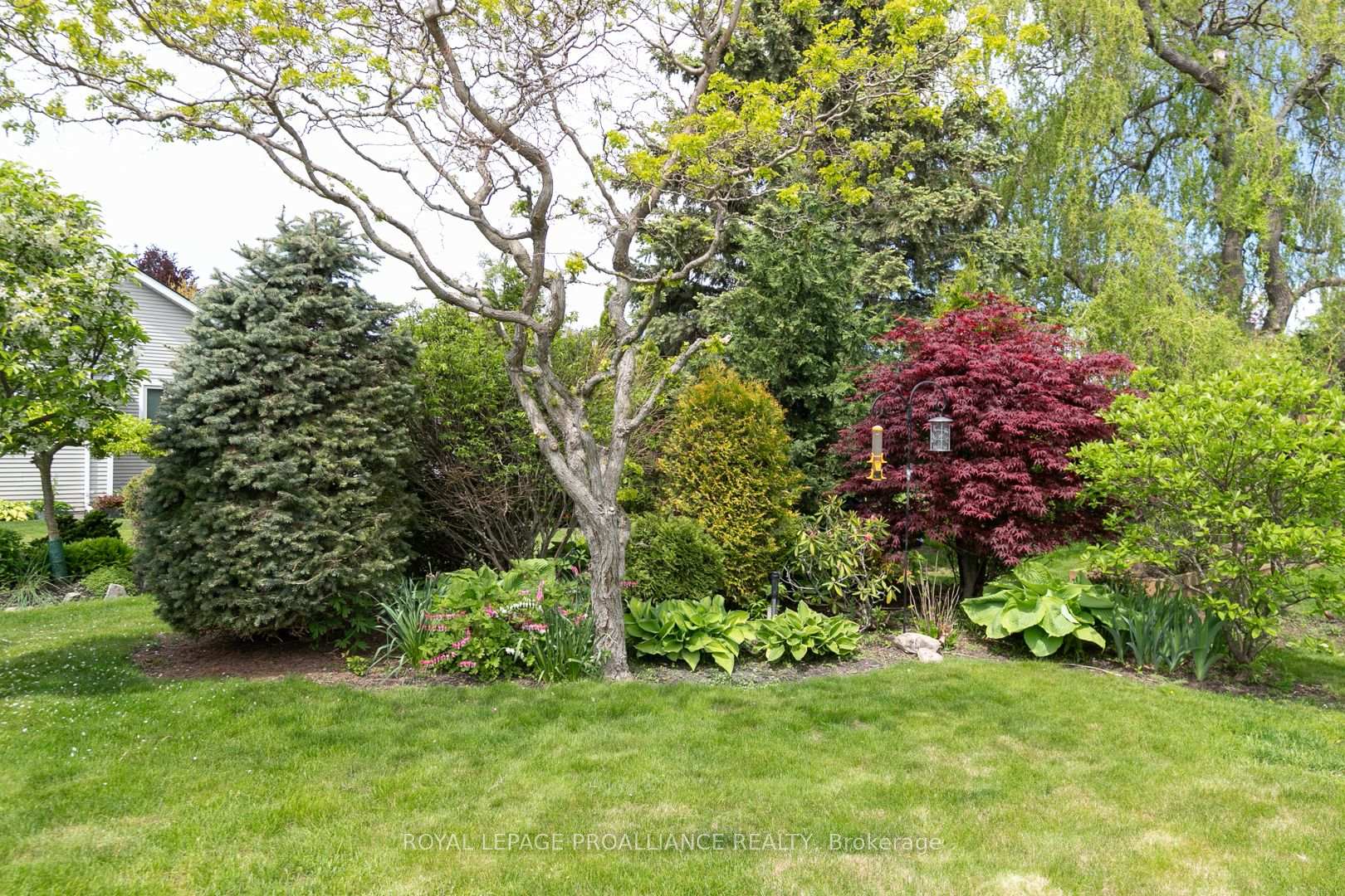 Photo 37 of 12 Mills Road, Brighton — HOMEH