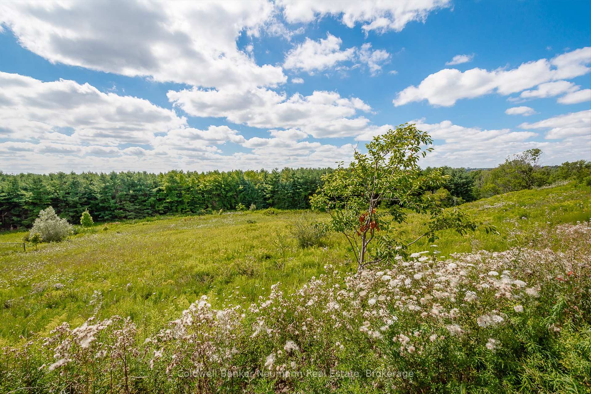 Photo 44 of Unit 30, 19 Simmonds Drive, Guelph, Victoria North — HOMEH