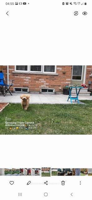 Photo 42 of 9 Homer Crescent, Aurora, Rural Aurora — HOMEH