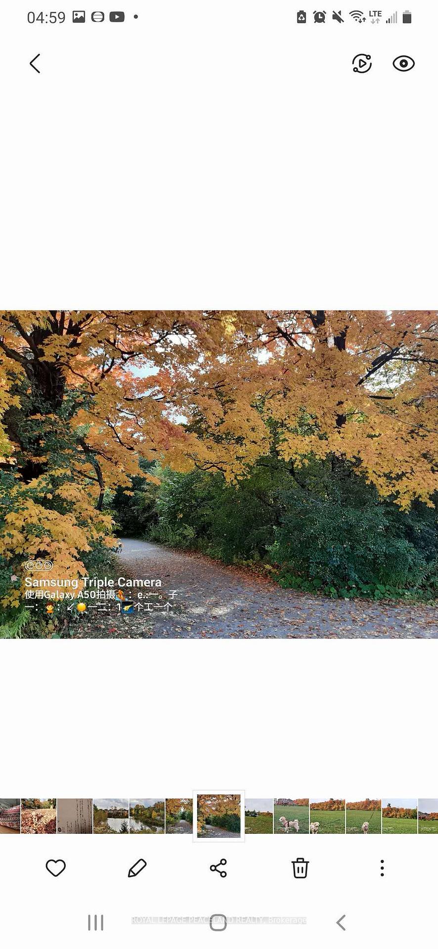 Photo 44 of 9 Homer Crescent, Aurora, Rural Aurora — HOMEH