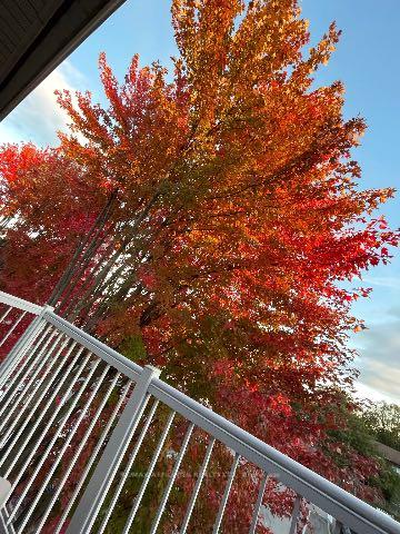 Photo 38 of Unit 10, 336 Wiffen, Ottawa, Westcliffe Estates — HOMEH