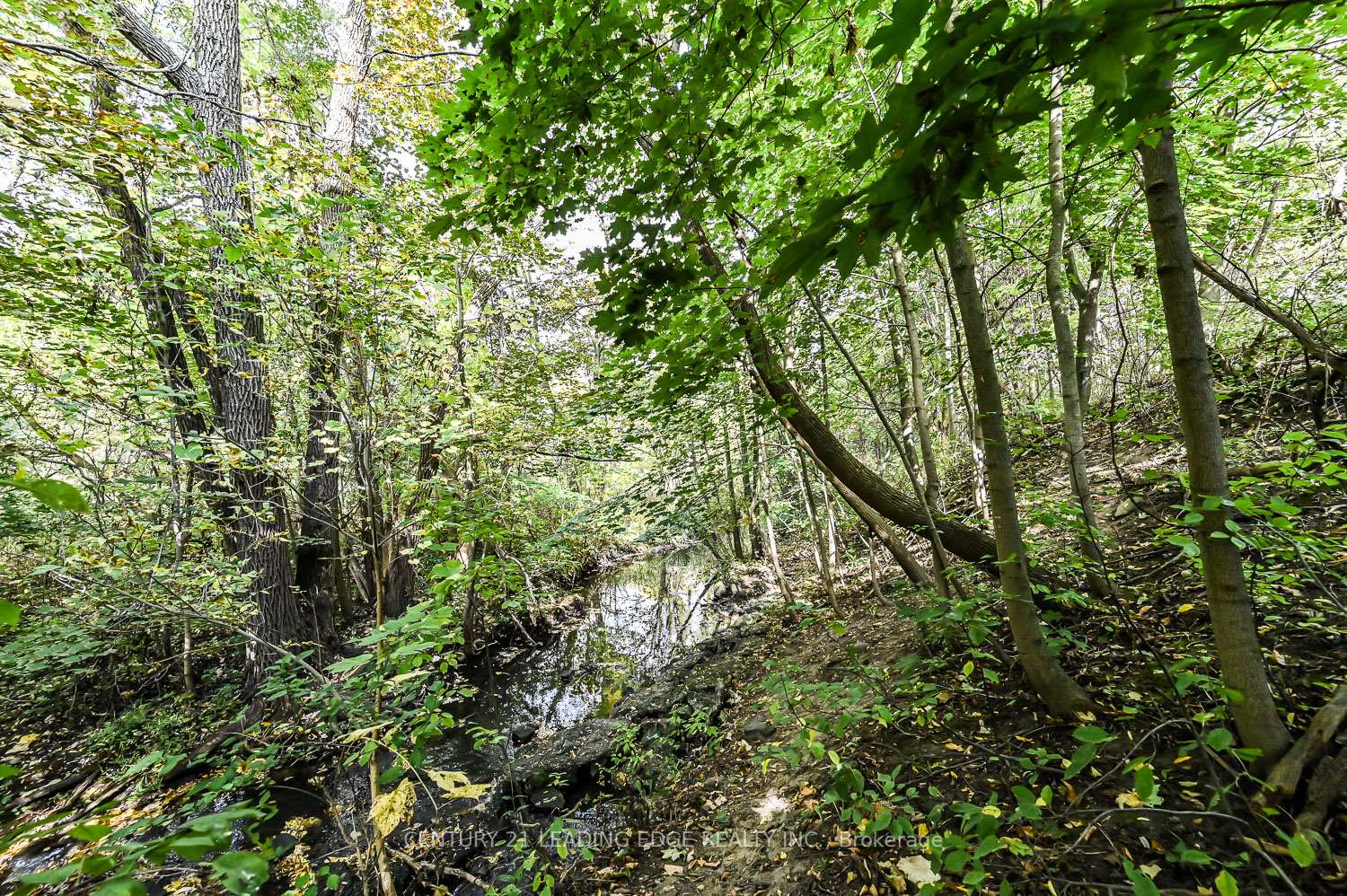 Photo 94 of 2 Bramble Way, Markham, Markham Village — HOMEH