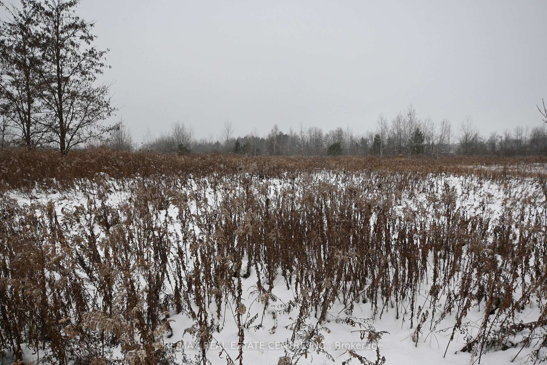 Photo 4 of 5892 Old Mill Road, Essa, Rural Essa — HOMEH
