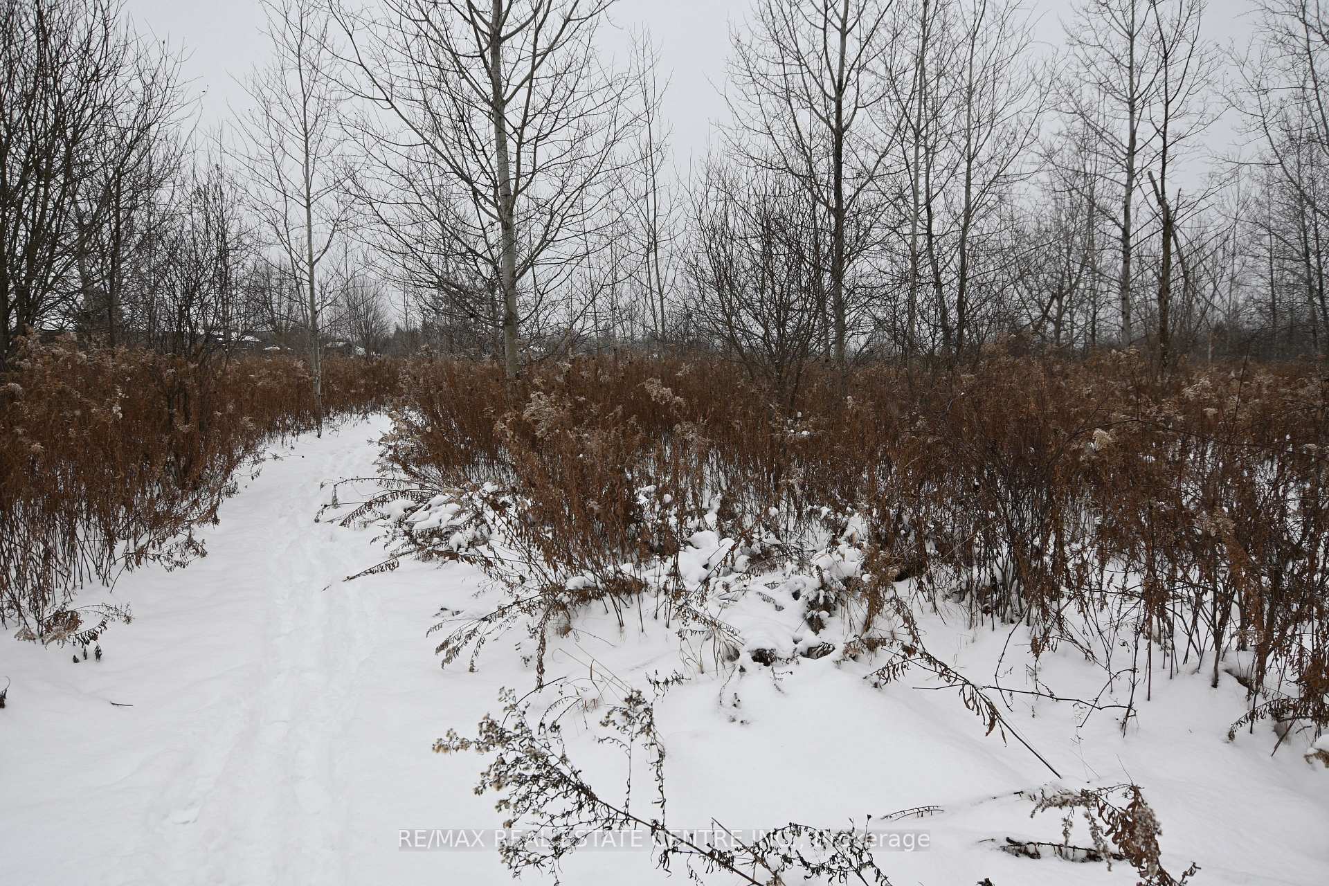 Photo 6 of 5892 Old Mill Road, Essa, Rural Essa — HOMEH