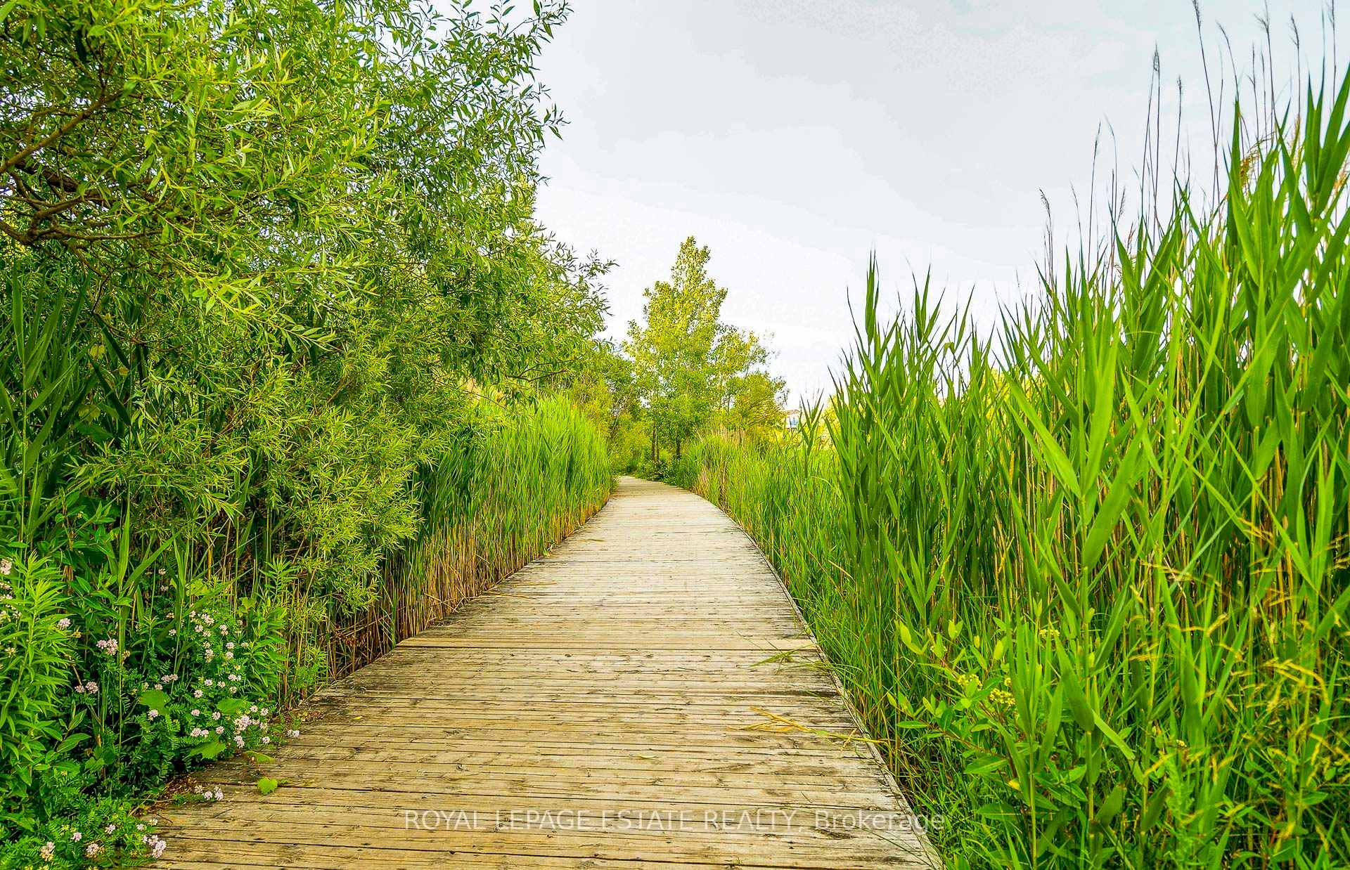 Photo 44 of Unit Ph9, 9 Boardwalk Drive, Toronto, The Beaches — HOMEH