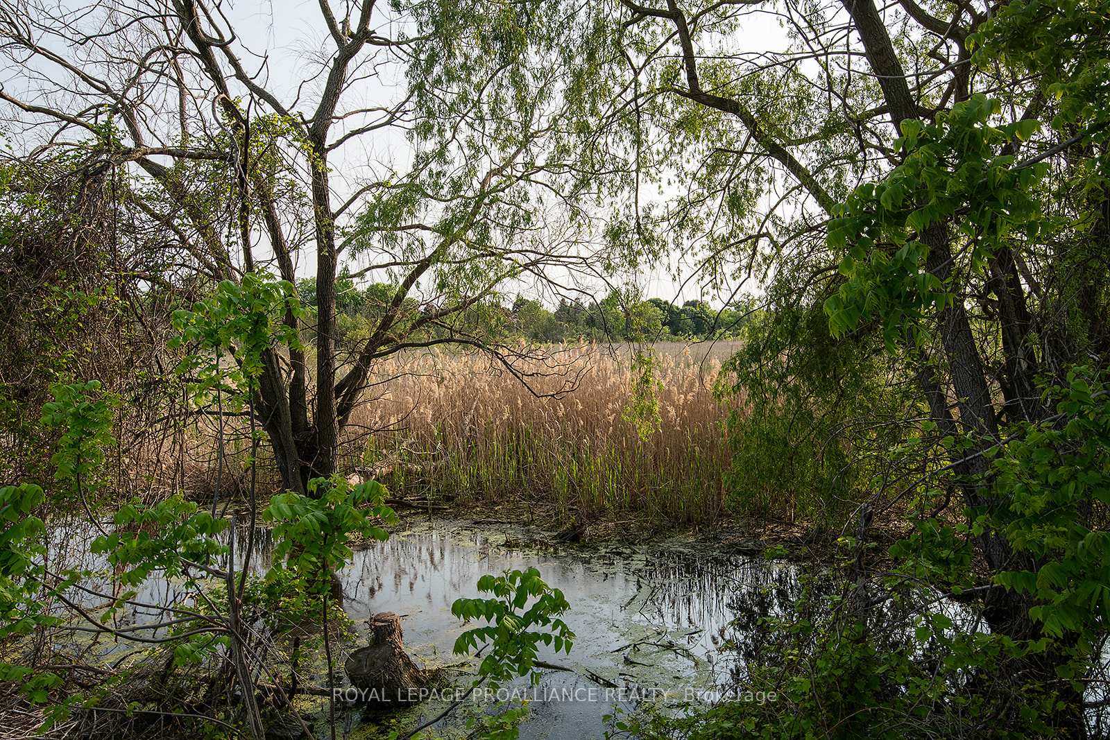 Photo 19 of 68 Edgehill Road, Belleville, Belleville Ward — HOMEH