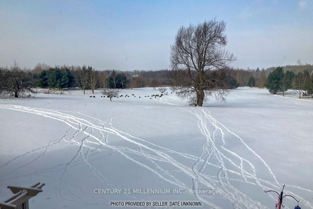 Photo 48 of 4 Flaherty Lane, Caledon, Rural Caledon — HOMEH
