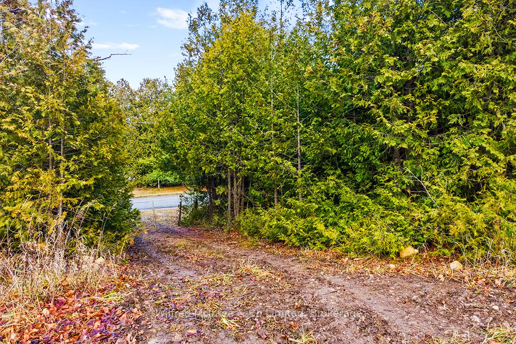 Photo 3 of PtLt 16; Part 2 16R6350 Sideroad 5, Chatsworth — HOMEH
