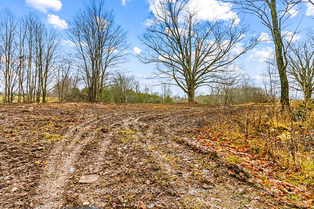 Photo 4 of PtLt 16; Part 2 16R6350 Sideroad 5, Chatsworth — HOMEH