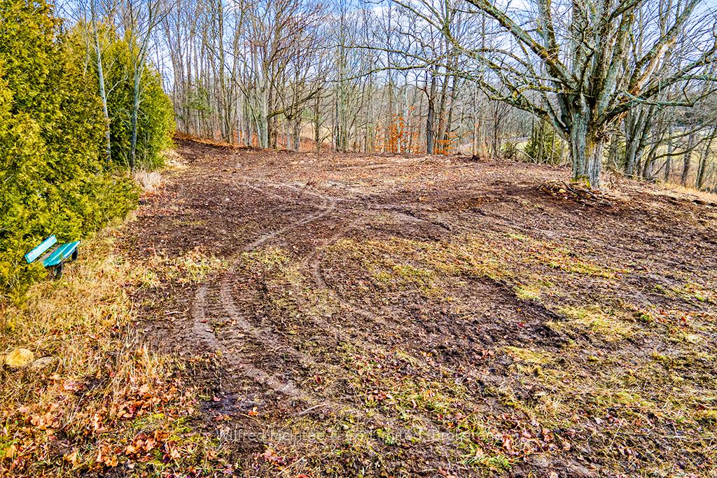 Photo 6 of PtLt 16; Part 2 16R6350 Sideroad 5, Chatsworth — HOMEH