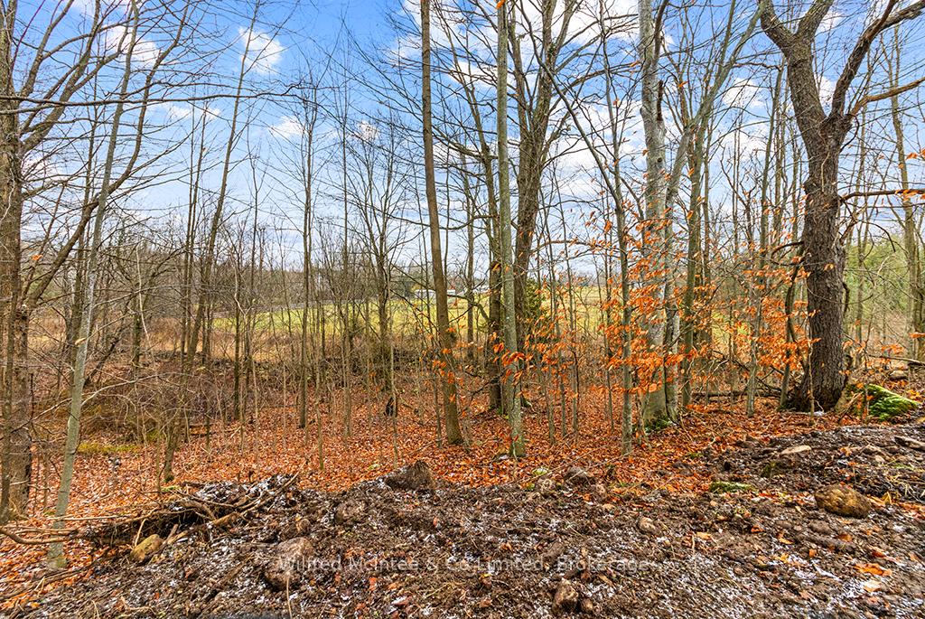 Photo 12 of PtLt 16; Part 2 16R6350 Sideroad 5, Chatsworth — HOMEH
