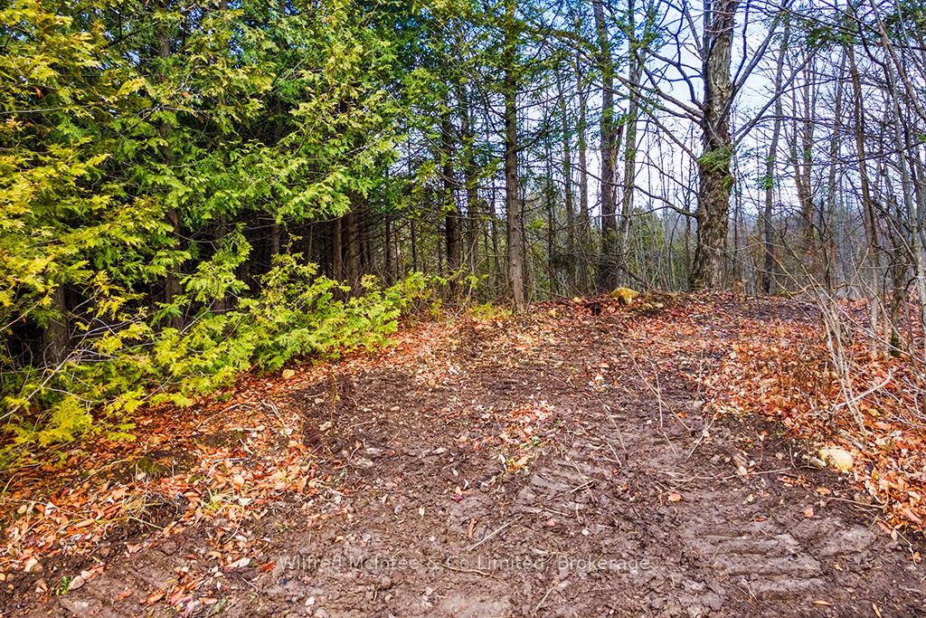 Photo 13 of PtLt 16; Part 2 16R6350 Sideroad 5, Chatsworth — HOMEH