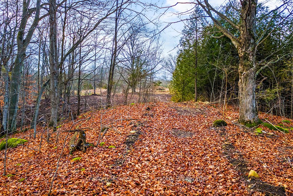 Photo 14 of PtLt 16; Part 2 16R6350 Sideroad 5, Chatsworth — HOMEH