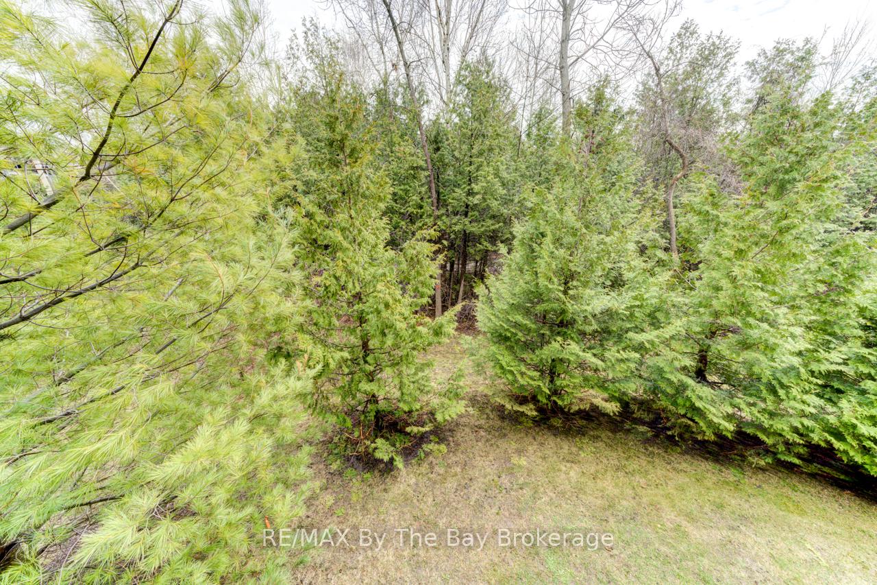 Photo 48 of Unit 206, 6 Brandy Lane Drive, Collingwood — HOMEH