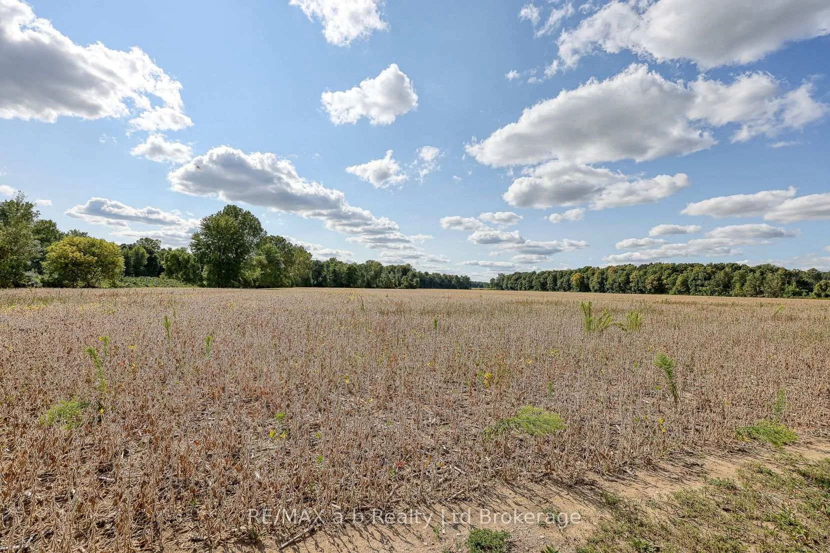 Photo 30 of 1 Etonia Road, Brant, South Dumfries — HOMEH