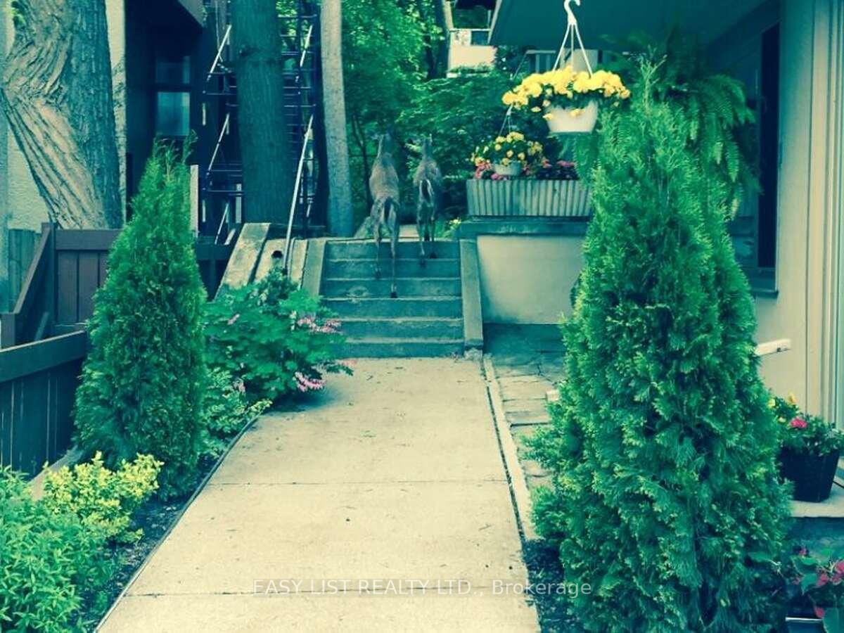 Photo 24 of Unit 15, 2368 Queen Street E, Toronto, The Beaches — HOMEH