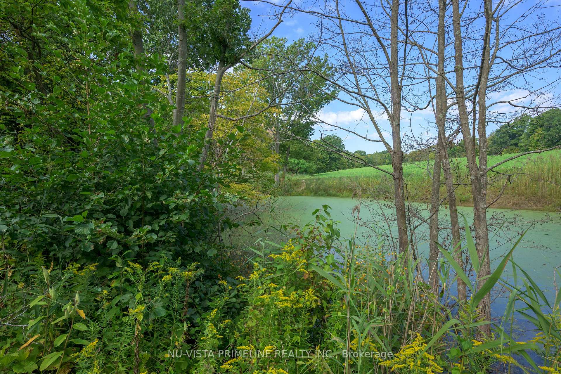 Photo 21 of 5699 Sunset Drive, Central Elgin, Rural Central Elgin — HOMEH
