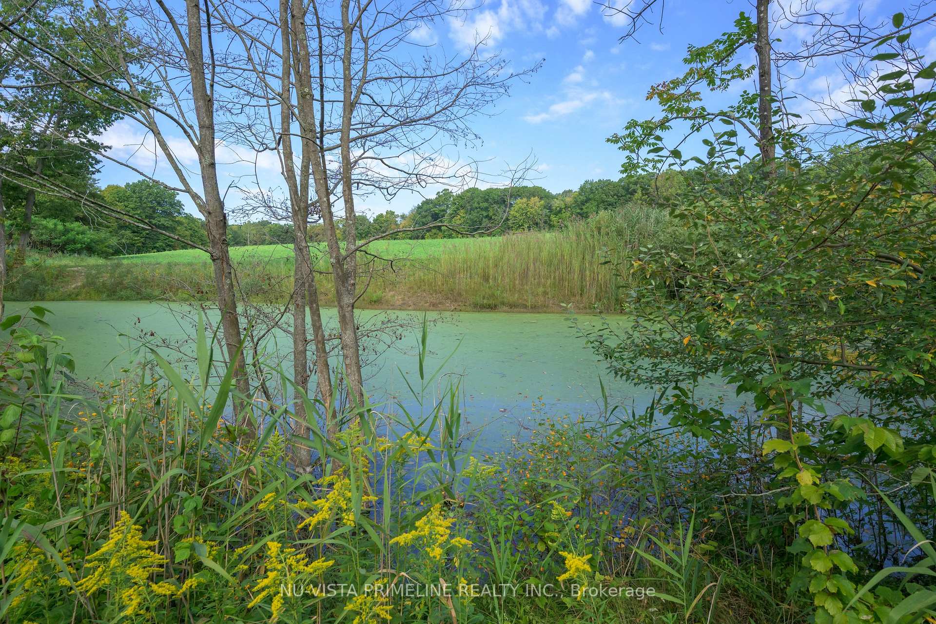 Photo 22 of 5699 Sunset Drive, Central Elgin, Rural Central Elgin — HOMEH