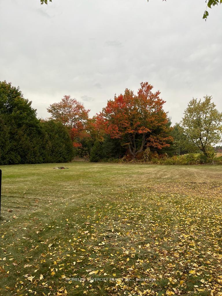 Photo 4 of 17971 Heart Lake Road, Caledon, Rural Caledon — HOMEH