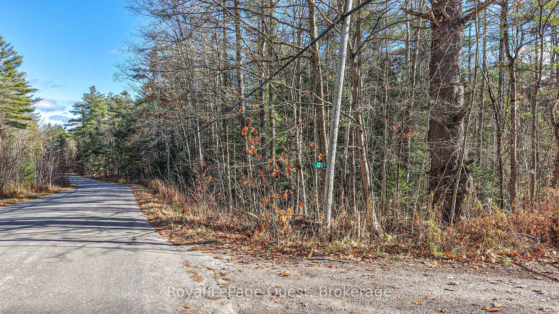 Photo 2 of 1267 Graham Road, Gravenhurst, Morrison — HOMEH