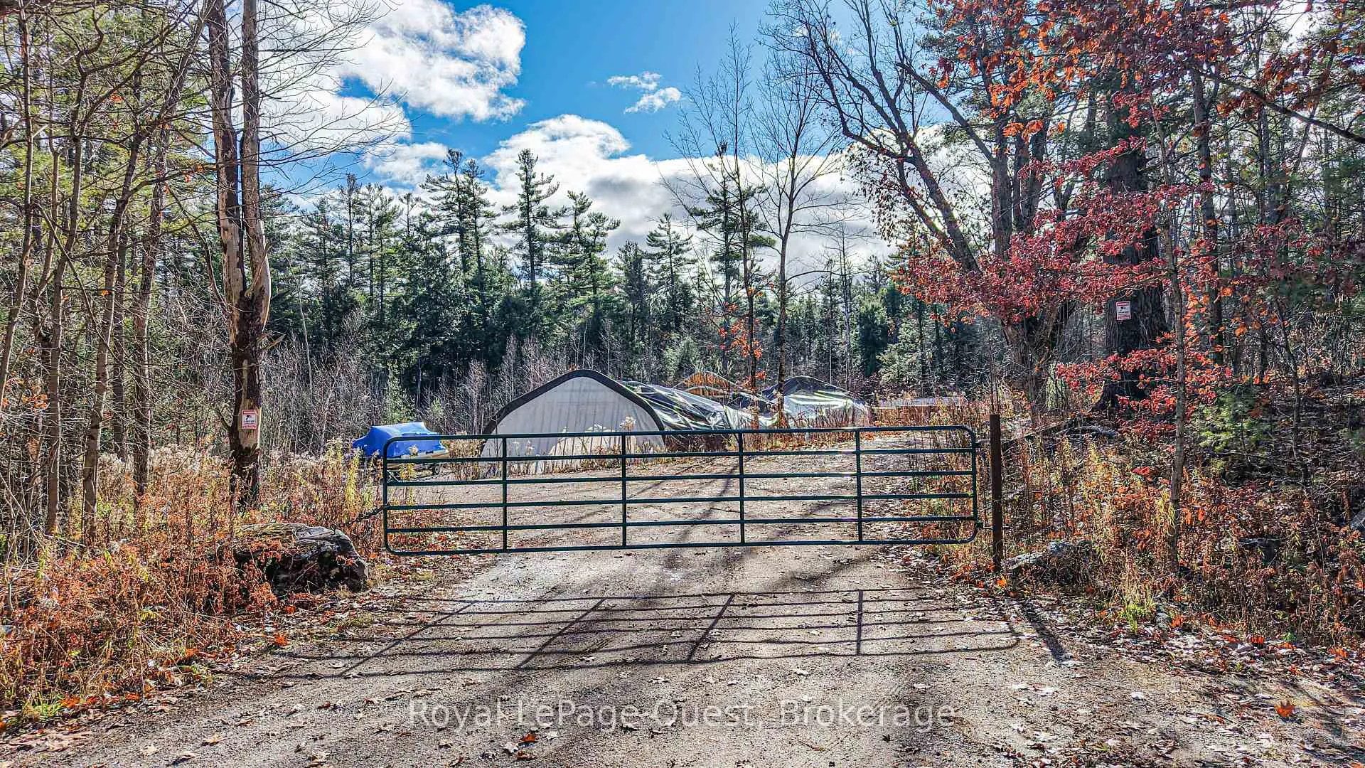 Photo 3 of 1267 Graham Road, Gravenhurst, Morrison — HOMEH