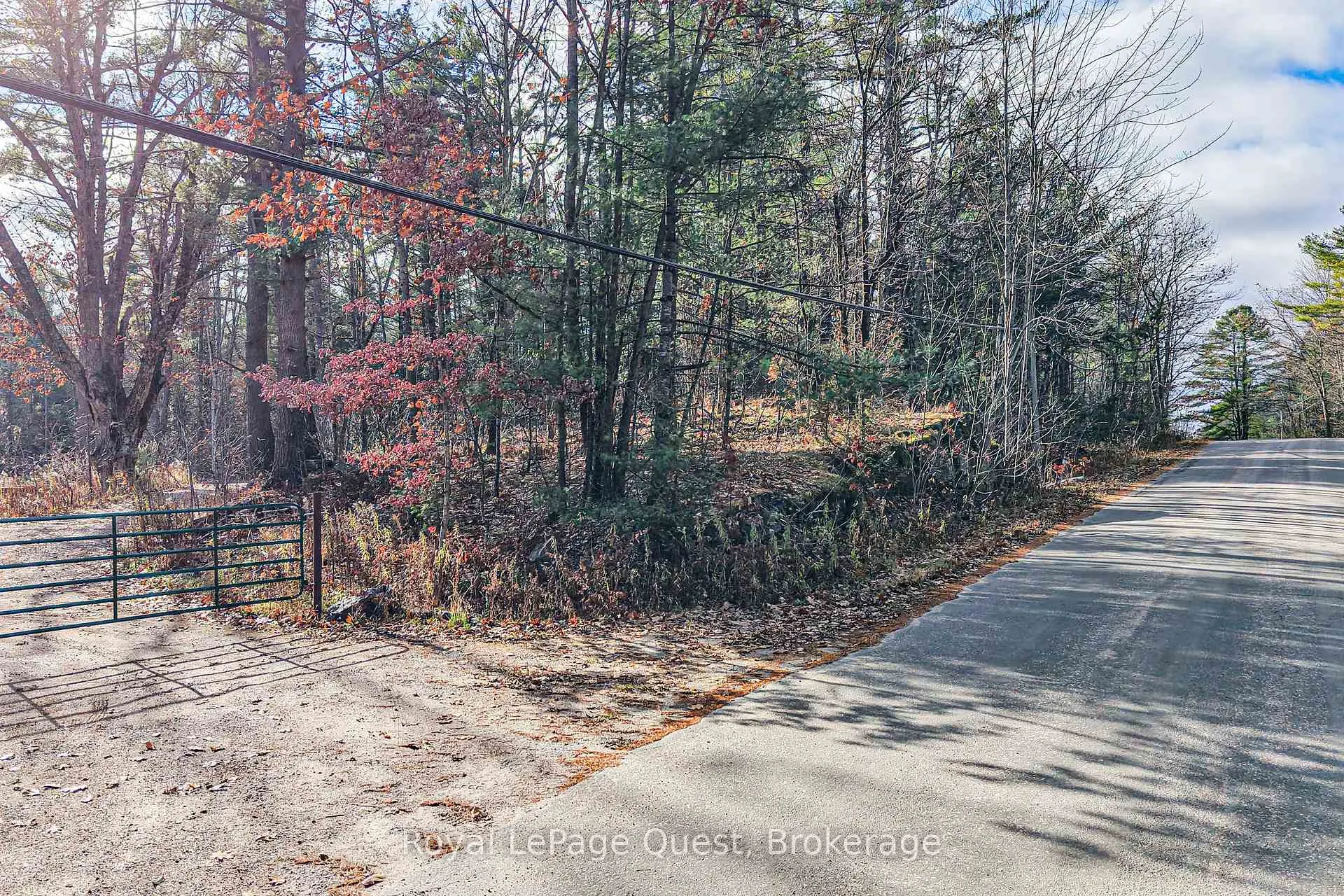 Photo 6 of 1267 Graham Road, Gravenhurst, Morrison — HOMEH