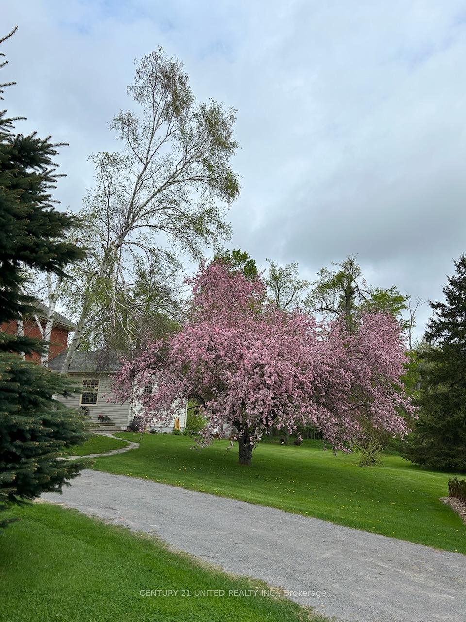Photo 94 of 1920 County Rd 6, Douro-Dummer — HOMEH