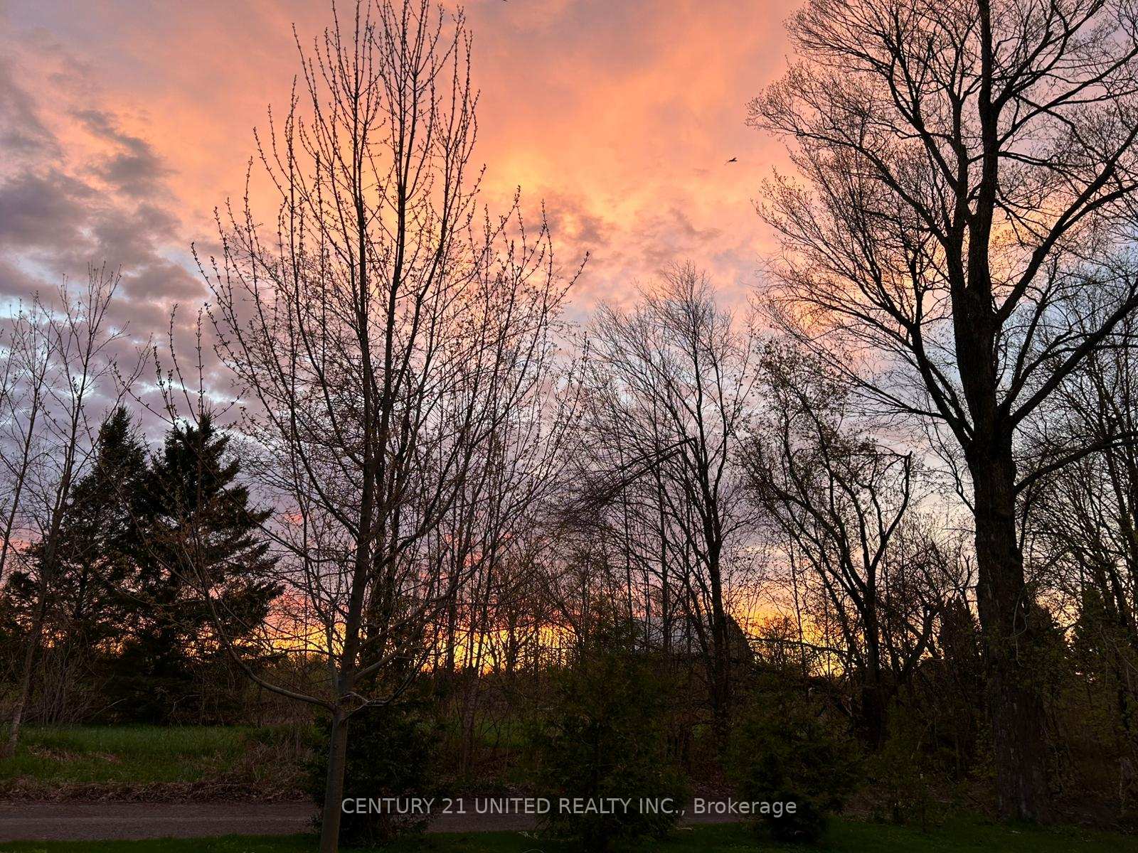 Photo 99 of 1920 County Rd 6, Douro-Dummer — HOMEH