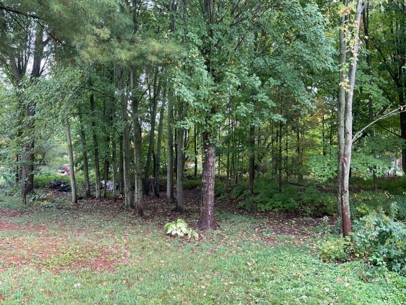 Photo 8 of 00 Edward Street, Stirling-Rawdon, Stirling Ward — HOMEH
