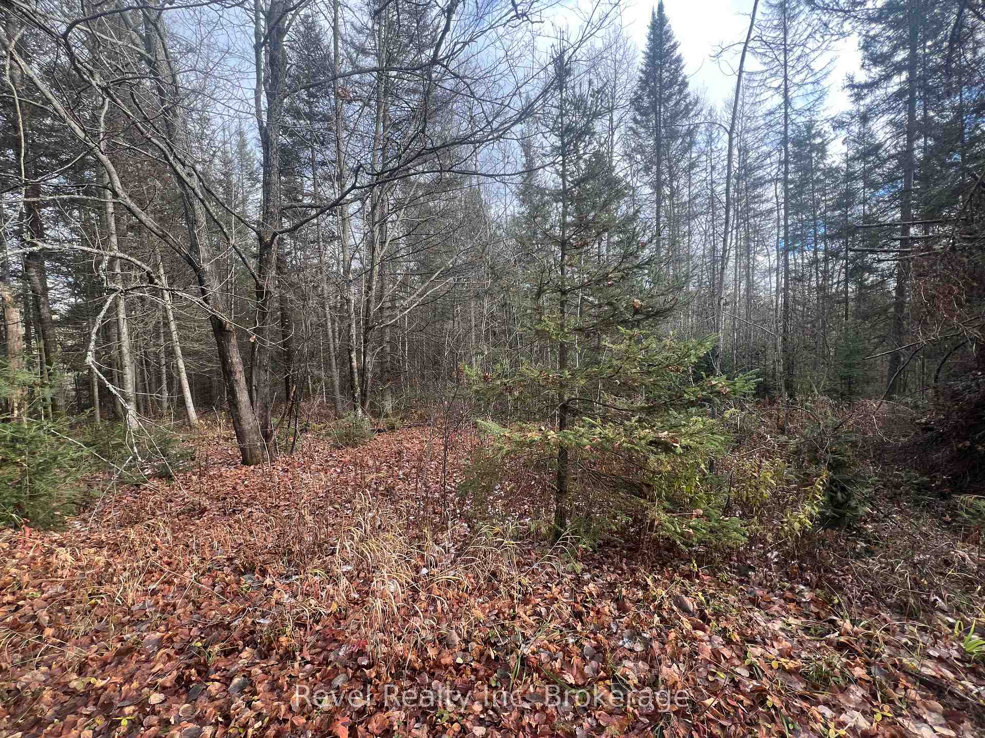 Photo 7 of 1436 Richard's Road, Papineau-Cameron, Papineau Cameron — HOMEH