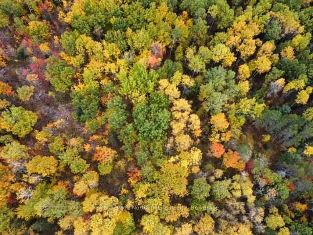 Photo 1 of 519 Hart Road, Callander — HOMEH