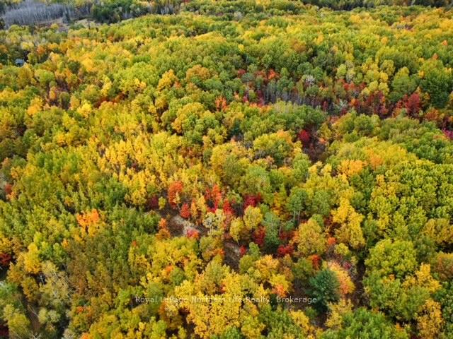 Photo 4 of 519 Hart Road, Callander — HOMEH