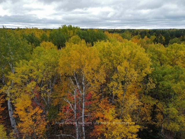 Photo 8 of 519 Hart Road, Callander — HOMEH
